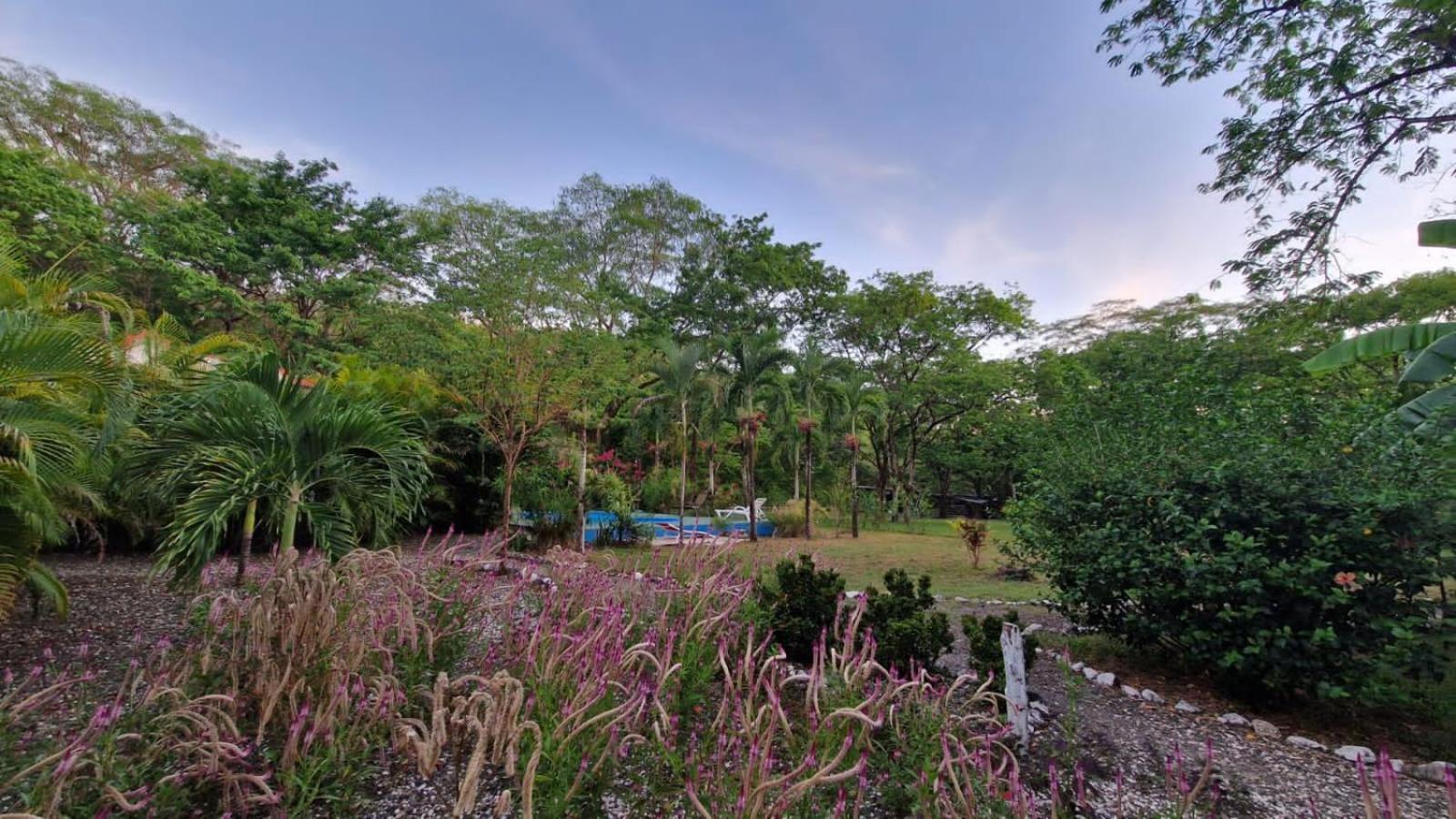 Villas Jungle 5 Самара Екстер'єр фото