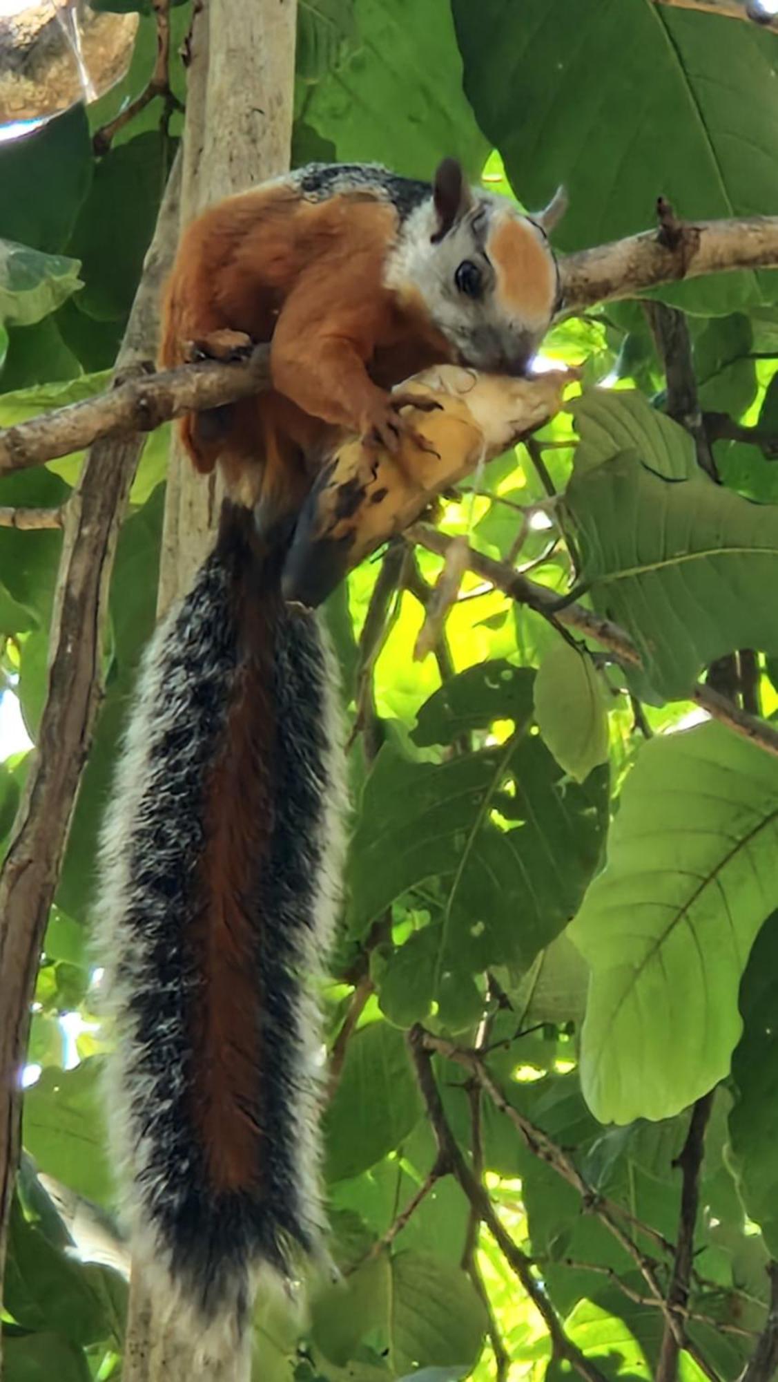 Villas Jungle 5 Самара Екстер'єр фото