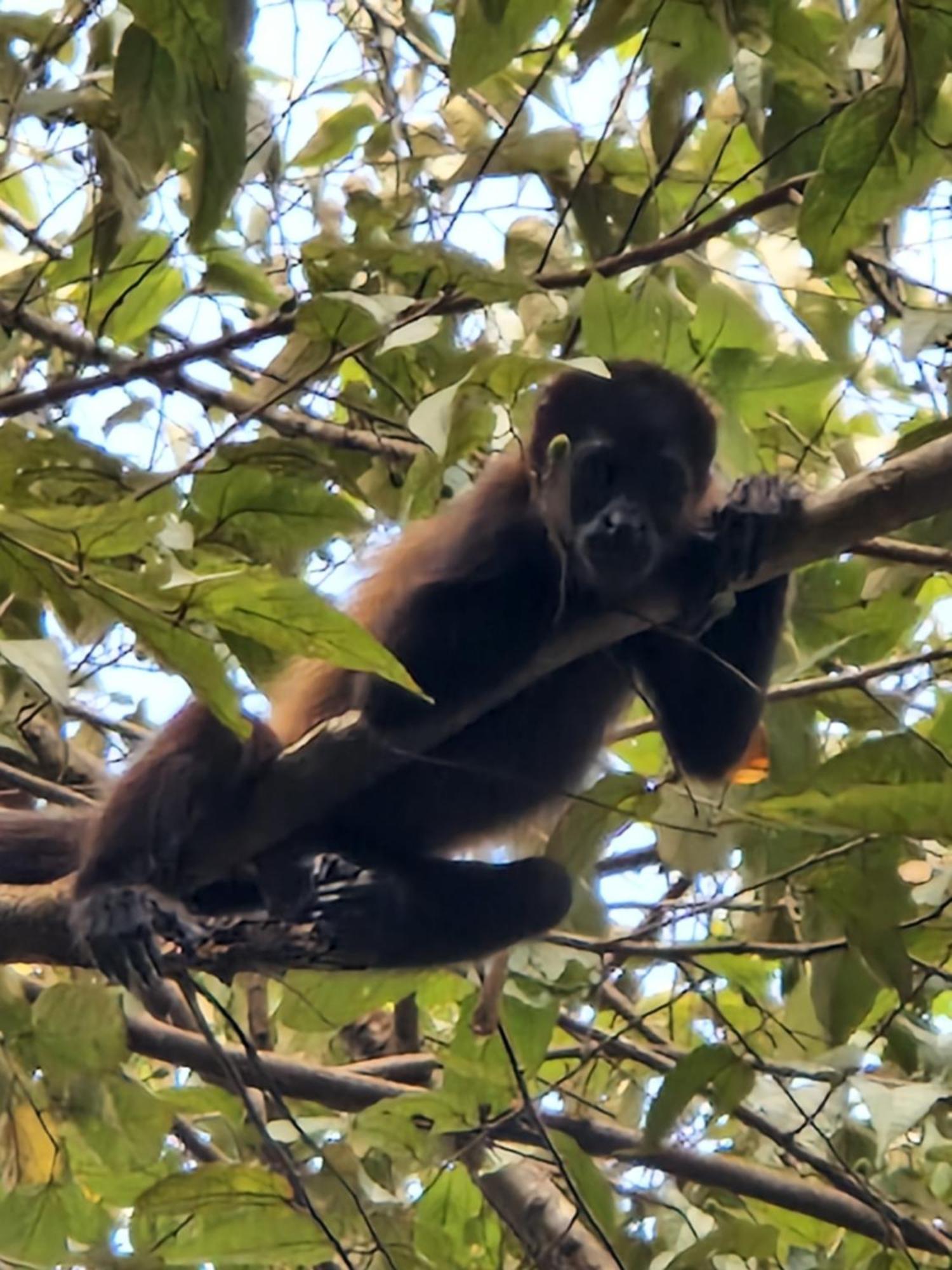 Villas Jungle 5 Самара Екстер'єр фото