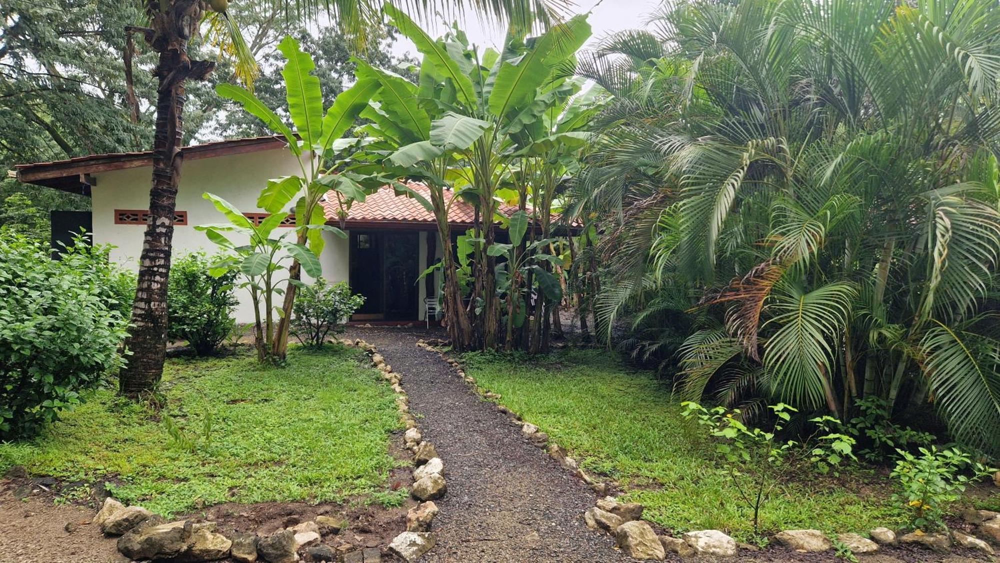 Villas Jungle 5 Самара Екстер'єр фото