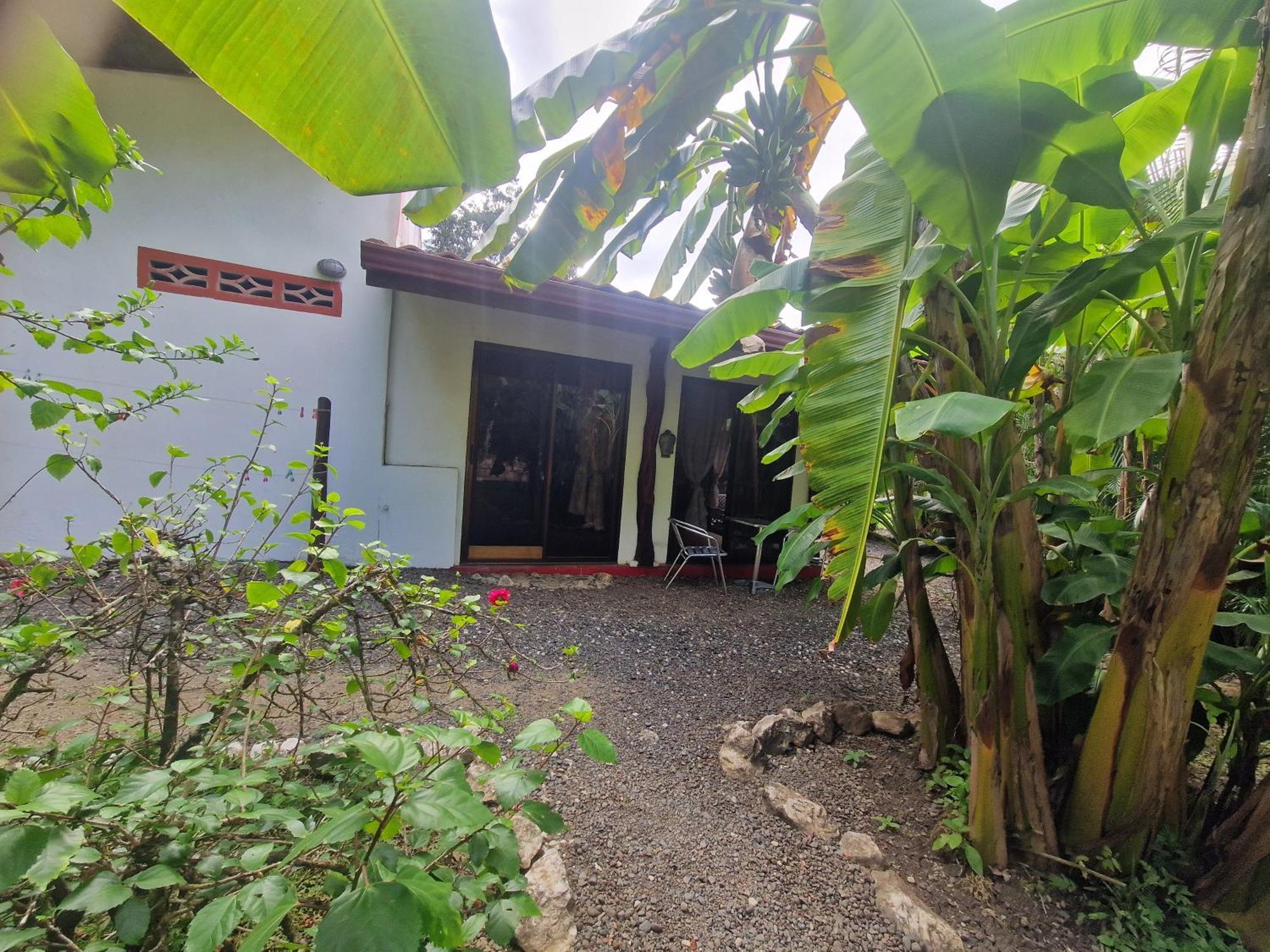 Villas Jungle 5 Самара Екстер'єр фото