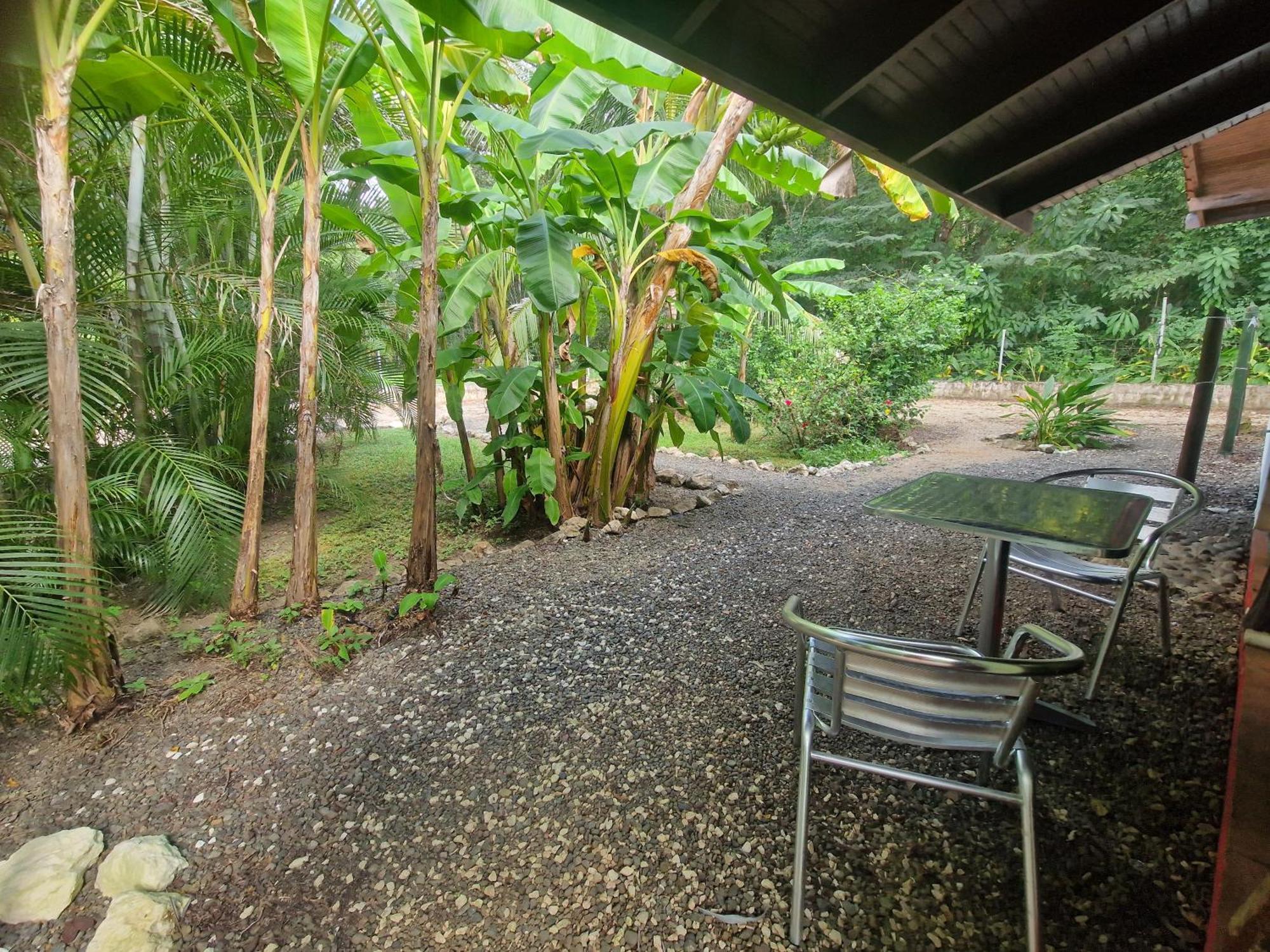 Villas Jungle 5 Самара Екстер'єр фото